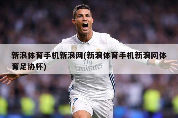 新浪体育手机新浪网(新浪体育手机新浪网体育足协杯)