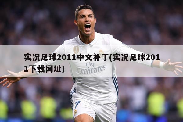 实况足球2011中文补丁(实况足球2011下载网址)