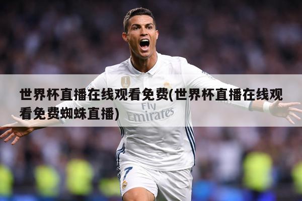 世界杯直播在线观看免费(世界杯直播在线观看免费蜘蛛直播)
