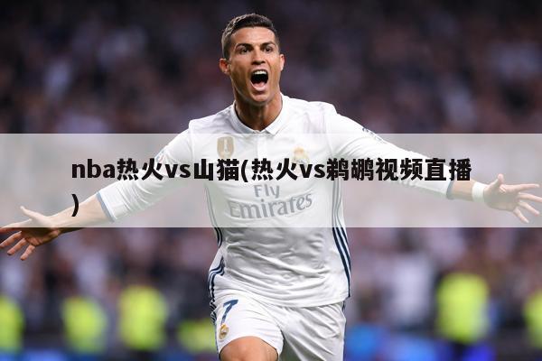 nba热火vs山猫(热火vs鹈鹕视频直播)